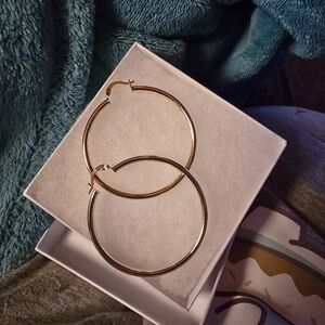 Elegant Gold Hoop Earrings